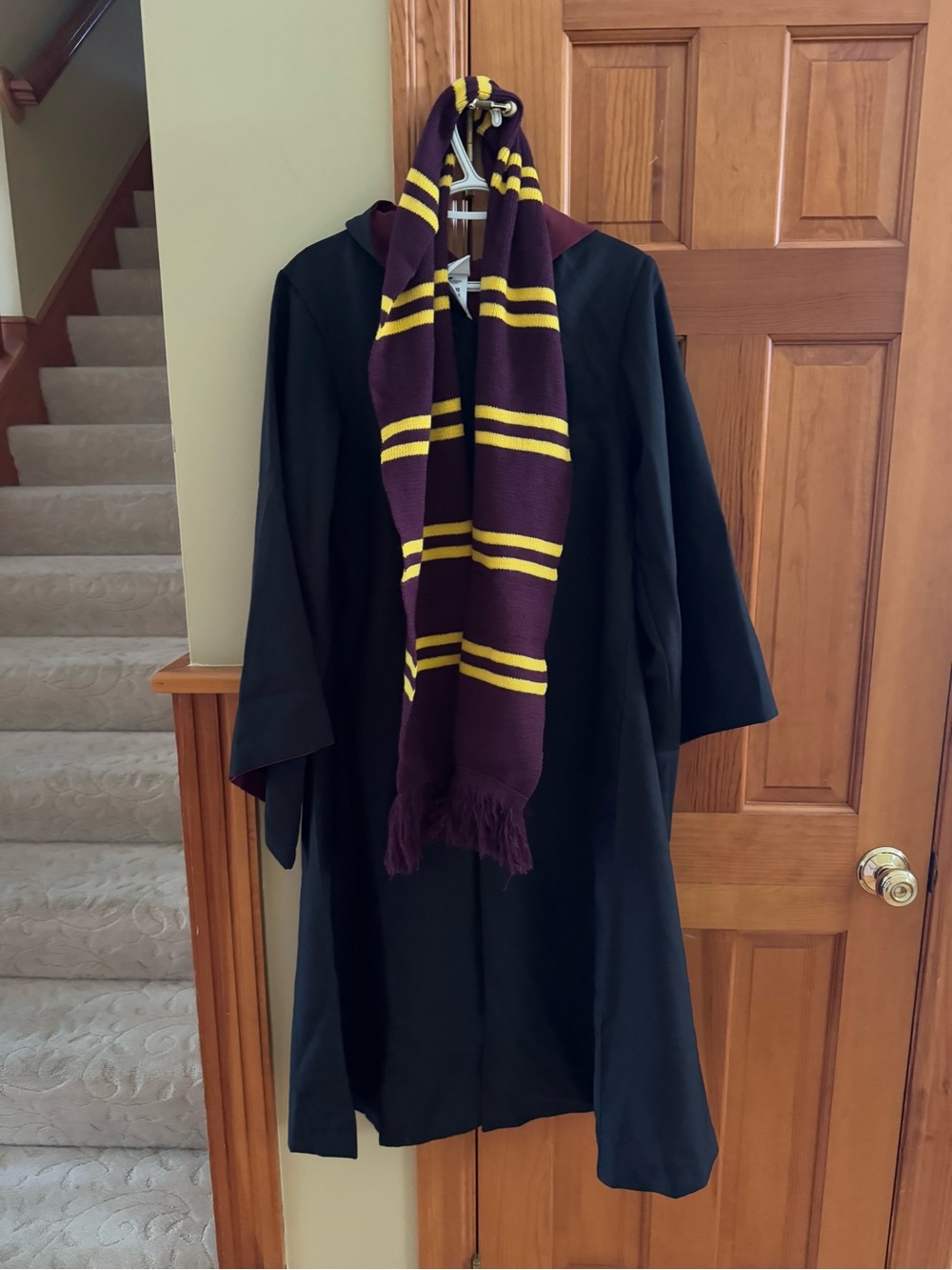 Universal studio Gryffindor Hooded Robe, scarf, tie and wand